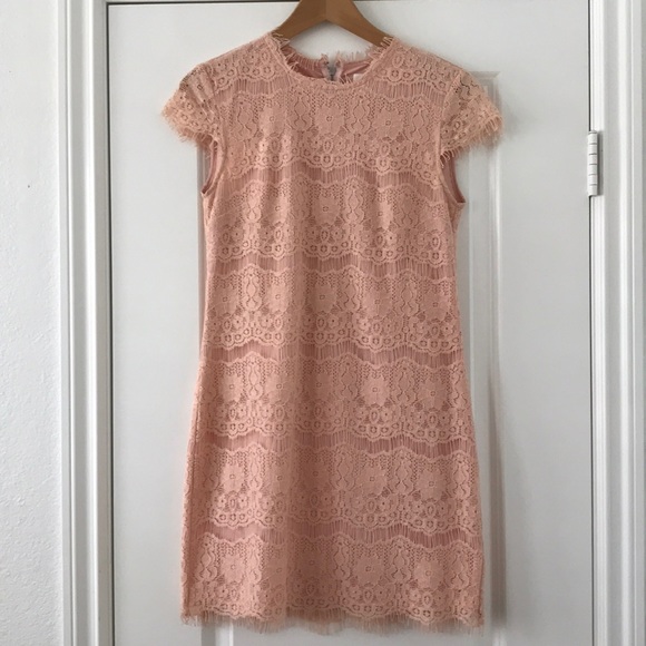 Dolce Vita Dresses & Skirts - Dolce Vita Ares Blush Lace Mini Dress